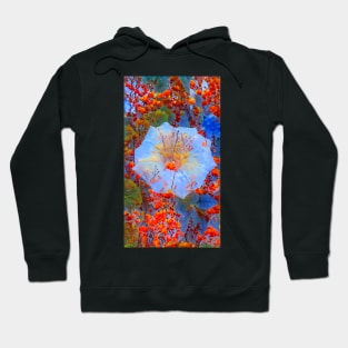 Morning Glory Blended Hoodie